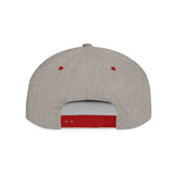 WiseNuts Podcast Snapback Hat – Flat Bill Cap for Men & Women | Bold Podcast Merch, Streetwear Style, Adjustable Fit