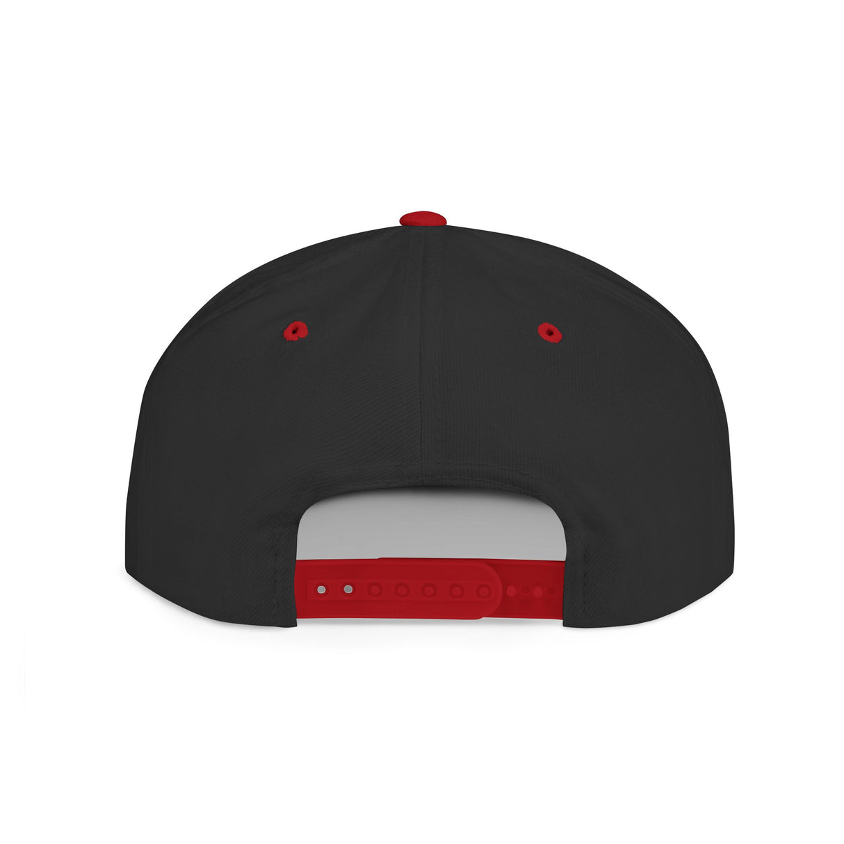 WiseNuts Podcast Snapback Hat – Flat Bill Cap for Men & Women | Bold Podcast Merch, Streetwear Style, Adjustable Fit